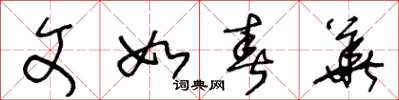 王冬龄文如春华草书怎么写