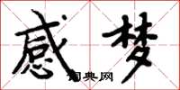 周炳元感梦楷书怎么写
