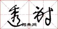 王冬龄透射草书怎么写