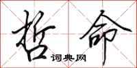 田英章哲命行书怎么写