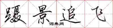 田英章蹑景追飞行书怎么写
