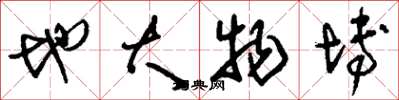 刘少英地大物博草书怎么写