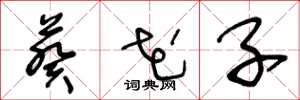 王冬龄葵花子草书怎么写