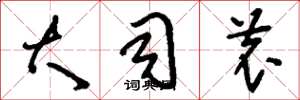 刘少英大司农草书怎么写