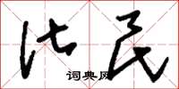 刘少英化民草书怎么写