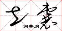 刘少英土囊草书怎么写