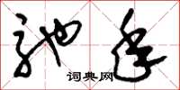 刘少英驰年草书怎么写