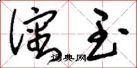 刘少英沈玉草书怎么写
