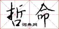 钱沛云哲命行书怎么写