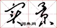 刘少英实景草书怎么写