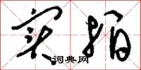 刘少英实拍草书怎么写