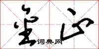 刘少英金正草书怎么写