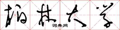 刘少英柏林大学草书怎么写