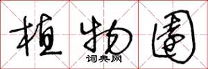 王冬龄植物园草书怎么写