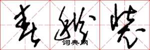 刘少英春秋装草书怎么写