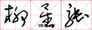 刘少英柳星张草书怎么写