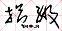 刘少英拾级草书怎么写