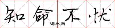 段相林知命不忧行书怎么写
