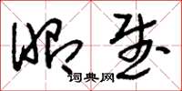 刘少英昭武草书怎么写