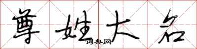 段相林尊姓大名行书怎么写