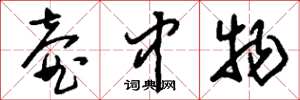 刘少英壶中物草书怎么写