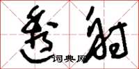刘少英透射草书怎么写