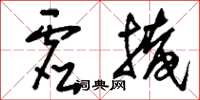 刘少英虚掩草书怎么写