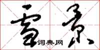 刘少英雪景草书怎么写