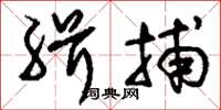 刘少英缉捕草书怎么写