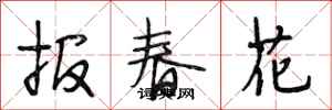 段相林报春花行书怎么写