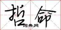 段相林哲命行书怎么写