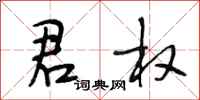 段相林君权行书怎么写