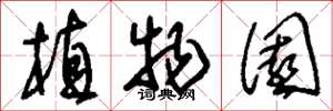 刘少英植物园草书怎么写