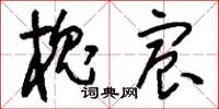 刘少英槐宸草书怎么写