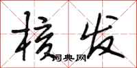 段相林核发行书怎么写