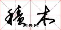 朱锡荣积木草书怎么写