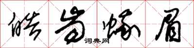 朱锡荣皓齿蛾眉草书怎么写
