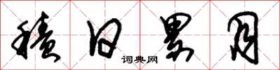 朱锡荣积日累月草书怎么写