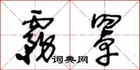 王冬龄雾罩草书怎么写