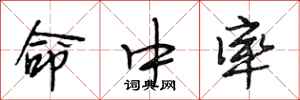 段相林命中率行书怎么写