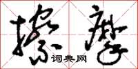 刘少英擦摩草书怎么写