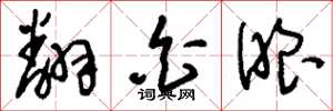 刘少英翻白眼草书怎么写