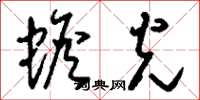 刘少英蟾光草书怎么写