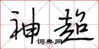 段相林神超行书怎么写