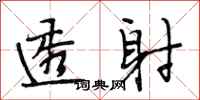 段相林透射行书怎么写