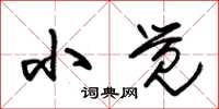 朱锡荣小觉草书怎么写