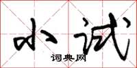 朱锡荣小试草书怎么写