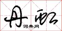朱锡荣丹虹草书怎么写