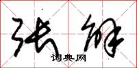 朱锡荣张解草书怎么写