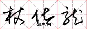 朱锡荣杖化龙草书怎么写